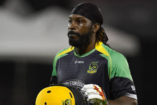 chris gayle pulls out of caribbean premier league