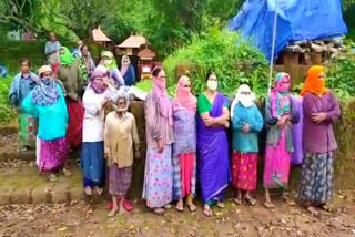 കണ്ണൂർ  ആന്തൂർ നഗരസഭ  കോടല്ലൂർ പാടശേഖരം  മഹിളാ അസോസിയേഷൻ  പ്രതിസന്ധിയിലായ നെൽകൃഷി  അഥിതി തൊഴിലാളികൾ  paddy cultivation  Mahila Association