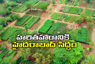 haritha haram