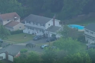 3 members of Indian origin family die in US swimming pool