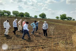 vice chancellor of panjabrao agricultural college