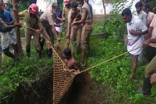 പശുവും ഉടമയും കിണറ്റില്‍പ്പെട്ടു; രക്ഷകരായി ഫയര്‍ഫോഴ്‌സ്