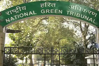 NGT order upccb to give action taken report of sadar talab