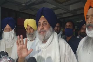 captain govermnet's all meeting is a political stunt say sukhbir singh badal