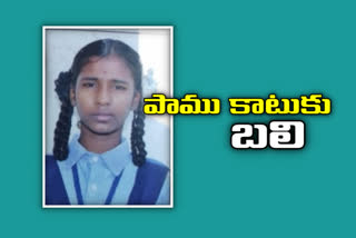 ssc student dies of snake bite