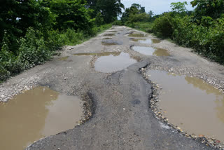 বিশ্বনাথৰ জিনজিয়া গৰকাপ্তানী পথৰ দুৰৱস্থা