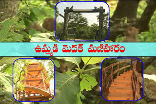 Narsapur Forest