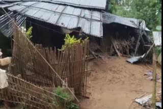 Elephant violence at goalpara