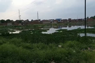 Encroachment on Chhatarpur city ponds