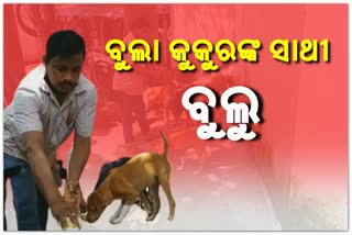 ପେଶାରେ ଚା' ଦୋକାନୀ, ନିଶାରେ ପଶୁପ୍ରେମୀ