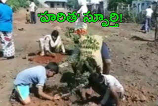 Haritha Haram Program In Komuram Bheem Asifabad District JanakPur