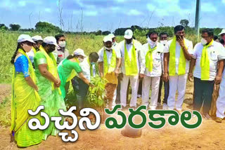 MLA challa dharmareddy participated in the telangana haritha haram event in parakala, warangal rural district