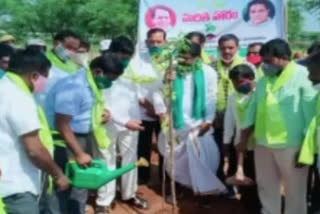 Station Ghanpur MLA Rajaiah Started 6th term Harithaharam programme in Warangal urban district