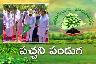 KCR planted in Narsapur medak district