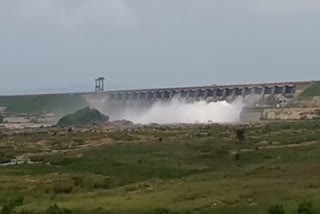 today-hirakud-dam-releases-first-flood-water-of-this-year