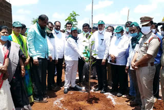 Zeherabad MLA Manikrao Participated 6th Term Harithaharam programme