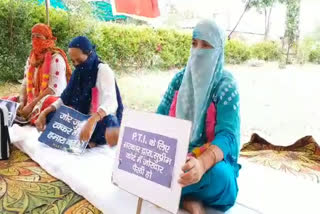 five pti teachers on hunger strike in sirsa