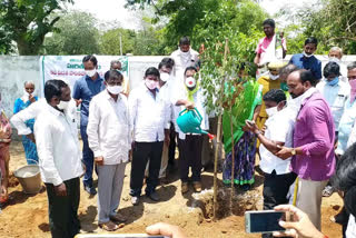 Wardhanapeta MLA Arurui Ramesh Participated 6th term Harithaharam programme