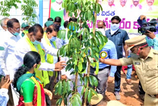 collector-and-mla-in-haritha-haram-programe-in-bhadradri-kothagudem-district