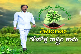 CM KCR HARITHA HARAM PROGRAM IN NARSAPUR MEDAK DISTRICT