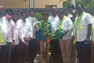 kalwakurthy  mla jaipal yadav participated in harithahara programme in nagarkurnool district