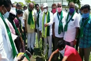 Kondangal MLA patnam narendar reddy participated in Harithaharam programme