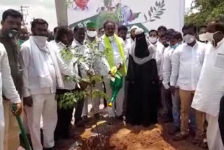 mla bhupalreddy participated in haritha haaram program