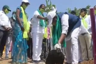 minister koppula eeshwar participated in harithaharam programme in peddapalli district