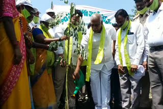 'Not just planting the plants ... also taking care of them' said by sirpur MLA konnappa