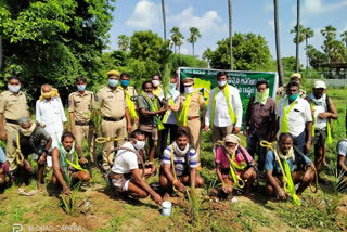 excise officers participated in harithaharam programme in warangal rural district