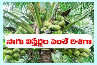 coconut cultivation in telangana