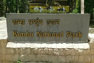 Kanha Tiger Reserve