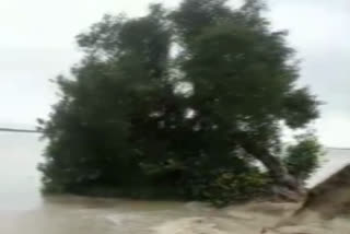 erosion of ghaghara river in ballia