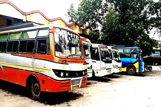 Permission granted to run passenger buses