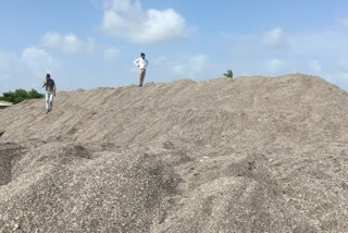 Kutiyana Mamlatdar seized 1500 metric tons of sand