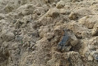 sand with mud caught in rajampeta mandal after booked in online in kadapa district