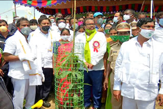 16 lakhs plants in first day harithaharam