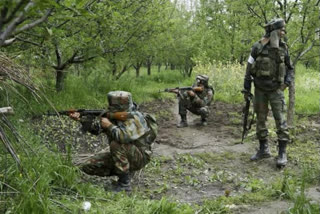 encounter in Jammu & Kashmir's Pulwama