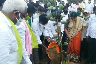 minister Puvvada ajay kumar toured in Badradri Kothagudem district