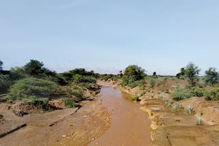 ಭಾರಿ ಮಳೆಗೆ ರೈತರ ಮೊಗದಲ್ಲಿ ಮಂದಹಾಸ