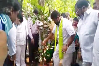 Minister talasani Appeals Planting trees