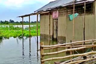 Unchanged flood situation in River Island Majuli assam etv bharat news