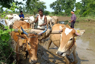 farming started