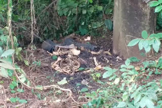 kottayam  കോട്ടയം  The skeleton found in Kottayam  construction work place  നിർമാണ പ്രവർത്തനത്തം  അസ്ഥികൂടം കണ്ടെത്തി  നാട്ടകം  Nattakam  എസ്‌പിസിഎസ്