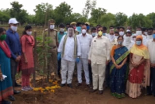 Sattupally MLA Sandra Venkata Veeraiah Participated In Haritha Haram