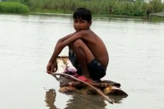 Beki river Flood critical situation at kolgasia borpeta