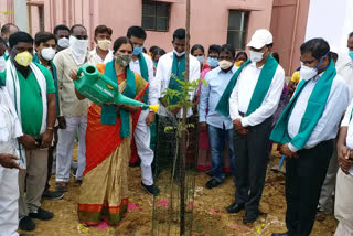 medak mla padma devender reddy participated in harithaharam programme