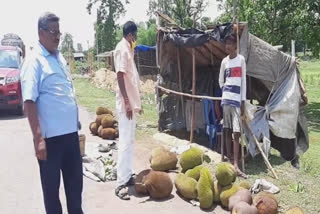 jackfruit-makes-youth-self-dependent-in-keonjhar