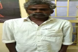 Elderly man held for 'sexually assaulting