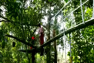 engineer builds a footbridge